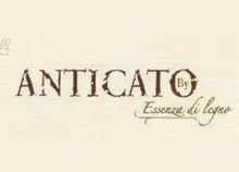 Anticato